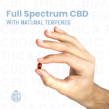 Simple Leaf Full Spectrum CBD Softgel - Terpines