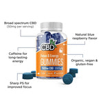 CBDfx - CBD Gummies for Focus and Energy - 1500mg - Info