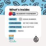 Simple Leaf - Blueberry Raspberry Delta 9 Gummies - Nutrition