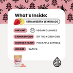 Simple Leaf - Strawberry Lemonade Delta 9 Gummies - Nutrition