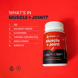 Simple Leaf CBD Muscle + Joint Capsules Ingredients