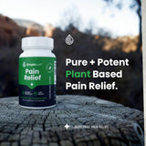 Simple Leaf CBD + CBG Pain Relief Capsules Promo